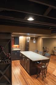 Schubbe Basement Remodel Traditional