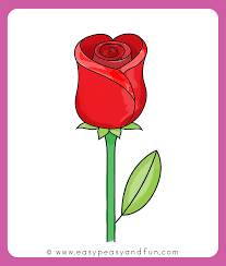 And than you can start drawing out the stem of this step 5. How To Draw A Rose Easy Step By Step For Beginners And Kids Easy Peasy And Fun