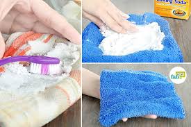 remove mold and mildew from clothes