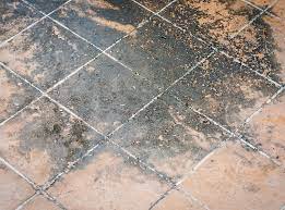 London Damp Floor Treatment Repair