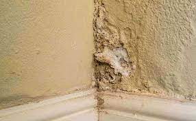 Damp Water Proofing Causes Effects