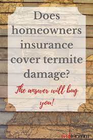 Check spelling or type a new query. Does Homeowners Insurance Cover Termite Damage The Answer Might Bug You Termite Damage Homeowners Insurance Homeowner