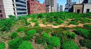 Green Roofs On Historic Buildings City