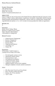 hr manager resume Free Resume Example And Writing Download