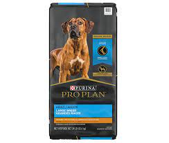the best dog food in october 2023