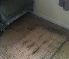 carpet cleaning in venice commercial
