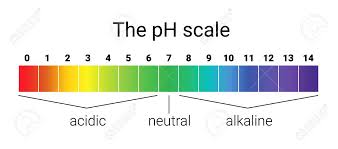 Ph Scale Infographic Acid Base Balance Scale For Chemical Analysis