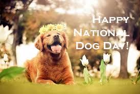 Many retailers are holding sales in celebration of the holiday for dogs. National Dog Day In 2021 History Date Activities About The Special Day
