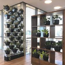 Client Gallery Tropical Plant Als