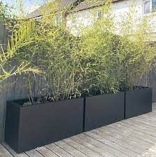 Large Bamboo Trough Planters Back