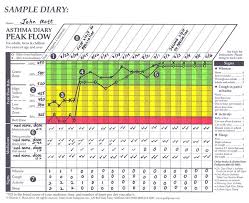 The Asthma Peak Flow Diary A Powerful Tool For Managing Asthma