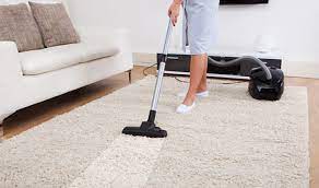 carpet cleaning service the clean team