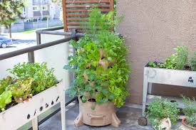 beginner s guide to vertical gardening