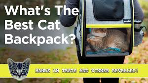 best cat backpack 2024 14 urban or