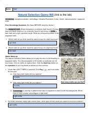 Gizmo answer key download student exploration natural selection gizmo answer key book pdf free download link or readcontinue. Copy Of Js Natural Selection Gizmo Ws Pdf Name Aleni Natural Selection Gizmo Ws U200b Link To The Lab Vocabulary U200b U200b Biological Evolution Camouflage Course Hero