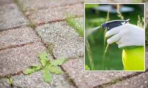 How To Kill Weeds Natural Way To