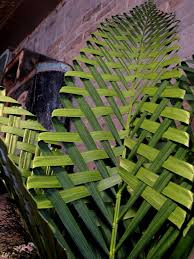 Image result for woven palm leaves