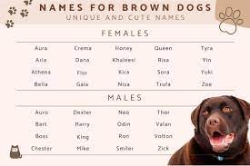 120 names for brown dogs unique