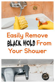 black mold in the shower here s how to