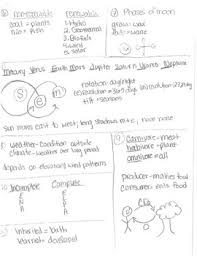 Staar Reference Sheet Worksheets Teaching Resources Tpt