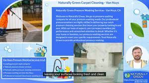 naturally green carpet cleaning and