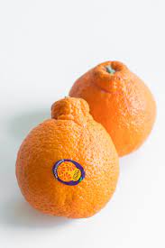 sumo citrus mandarins oranges know