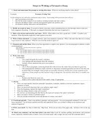  essay writing in pdf examples 