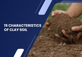 15 Characteristics Of Clay Soil