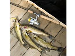 Can You Use A Trout Rod For Walleye