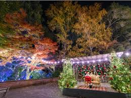 holidays at filoli gardens in woodside