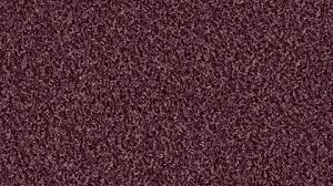 object carpet poodle 1400
