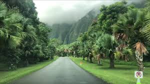 ho omaluhia botanic garden oahu hawaii