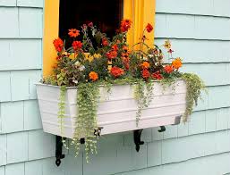 Sold and shipped by spreetail. How To Plant A Window Box Like A Pro Better Homes Gardens