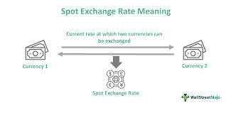 Spot Exchange Rate What Is It