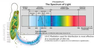 Képtalálat a következőre: „UV lampas fertotlenites”