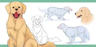 Lets draw a realistic dog. How To Draw Dogs Art Rocket