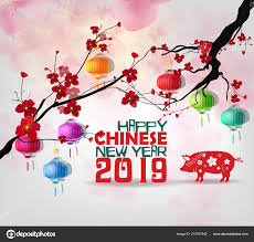 Image result for year of pig