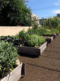 75 Rooftop Vegetable Garden Landscape