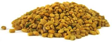 Fenugreek seeds are one of the staple spices used in indian cooking, with a sweet, nutty flavor reminiscent of maple syrup and burnt sugar. How To Grow Fenugreek 10 Easy Steps For A Constant Supply