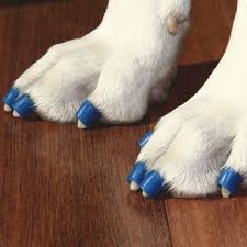 Dr Buzby S Toegrips Dog Nail Grips