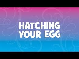 What Are Hatchimals How Do They Work And Where Can You Find T