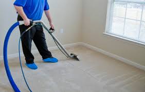 carpet cleaning squeaky clean