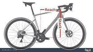 2023 cannondale synapse size charts and
