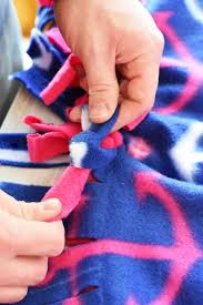 Your blanket can be any size. Diy No Sew Fleece Pet Blanket Nature S Recipe Dog Food