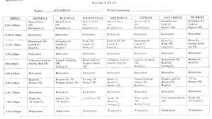 Weekly Exercise Plan Template