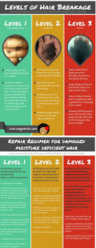 damaged hair repair regimen for