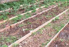 build raised garden beds on a slope