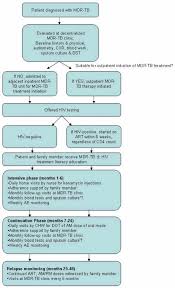 Flow Chart Of Patient Care In The New Mdr Tb Program