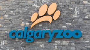 Image result for calgary zoo