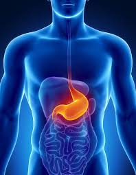 Therefore, most of the symptoms in this article are associated with advanced stages of the. Gastric Stomach Cancer Treatment Sheba Medical Center